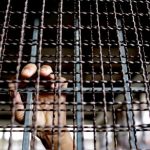 prison jail