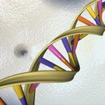 A file photo of a DNA double helix in an undated artist's illustration released by the National Human Genome Research Institute to Reuters