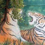 National Tiger Conservation Authority, man-eaters, tigress Avni, man-eater, tranquilising gun, nawab, Nawab Shafat Ali Khan, forest department, environmentalism, wildlife veterinarians, tiger reserves,
