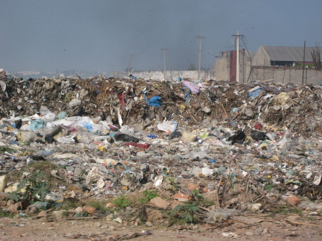 Dredging Chennai’s Pallikaranai Marsh Is an Ecologically Bad Idea