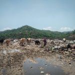 A garbage dump near Kenduwal village, where solid waste from Baddi is dumped. Credit: Manshi Asher