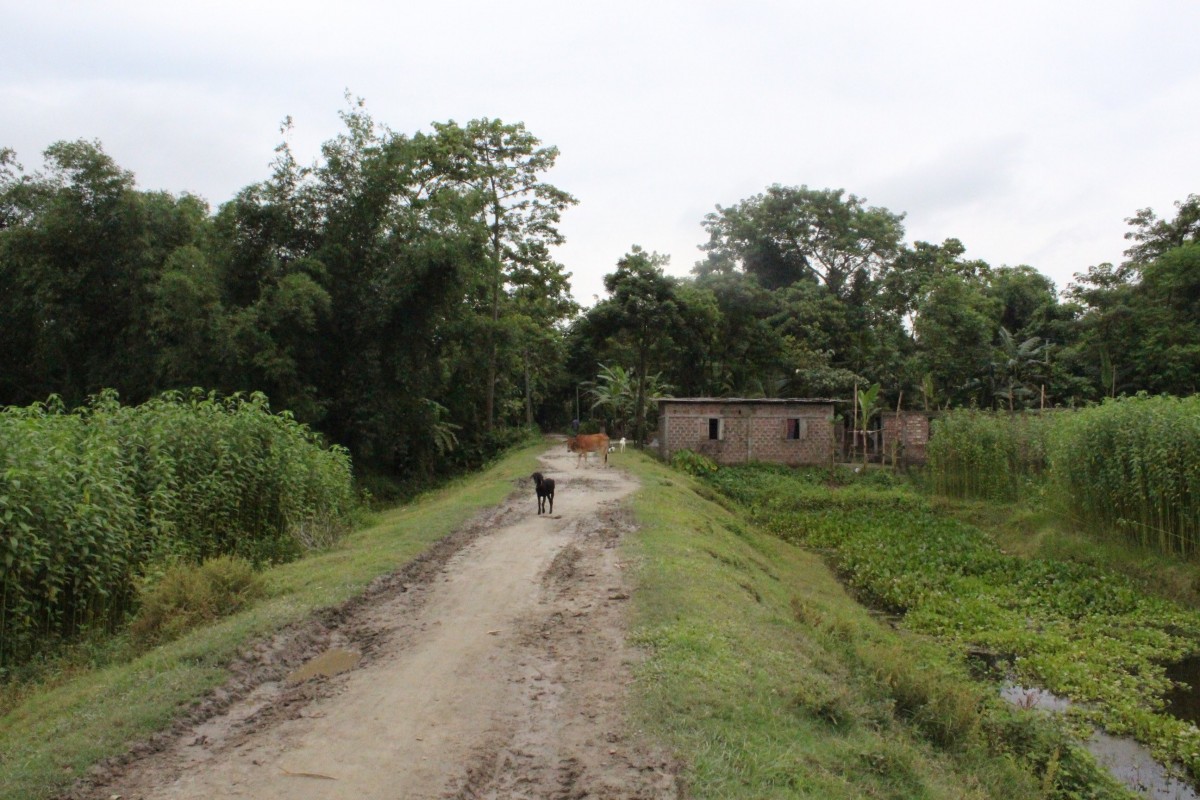 The road leading up to Kandhulimari, Hima's village. Credit: Sanskrita Bharadwaj