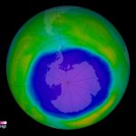 ozone