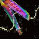 scissors-2759721_1920-1-1