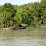 Sundarbans-mangrove-Bdesh-768x512
