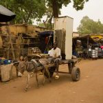 sustainable-development