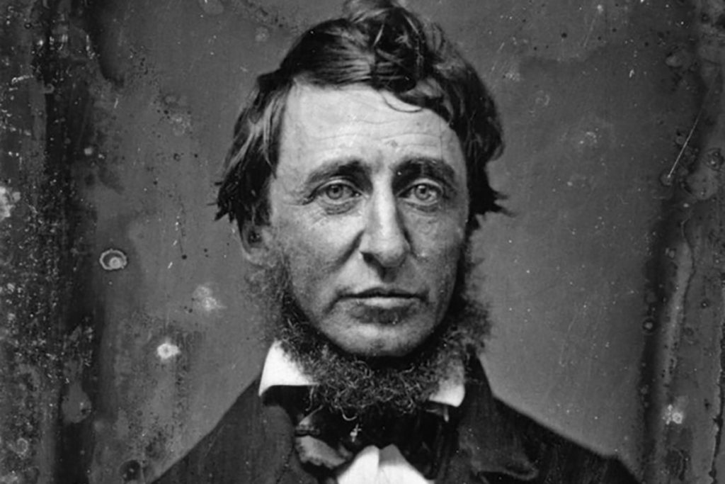 Henry David Thoreau, the American Yogi The Wire
