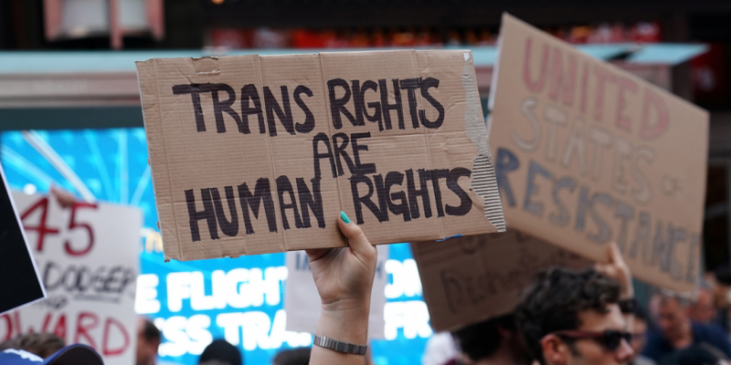 'Don't Have Just One Identity': Transgender People Urge Govt to Rethink Quota Under OBC Category - Vimarsana News