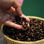 A visitor checks coffee beans at the 'International Coffee Festival 2007' in Bangalore February 24, 2007. Credit: Reuters/Jagadeesh Nv/File Photo