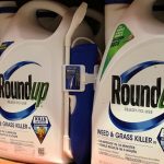 Monsanto Co's Roundup is shown for sale in Encinitas, California, US, June 26, 2017. Credit: Reuters/Mike Blake/File Photo