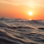 Through poems and creation myths, the metaphor of the sea seems evermore to be passing into actuality. Credit: Pexels/pixabay