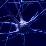 nerve-cell-2213009_1920