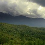 The Parambikulam forest in Kerala is a part of the Western Ghats. dotcompals/Flickr, CC BY 2.0
