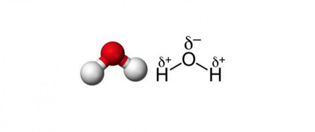 Ball and stick figure of a water molecule (left) and a diagram showing the distribution of charge. Credit: Wikimedia Commons