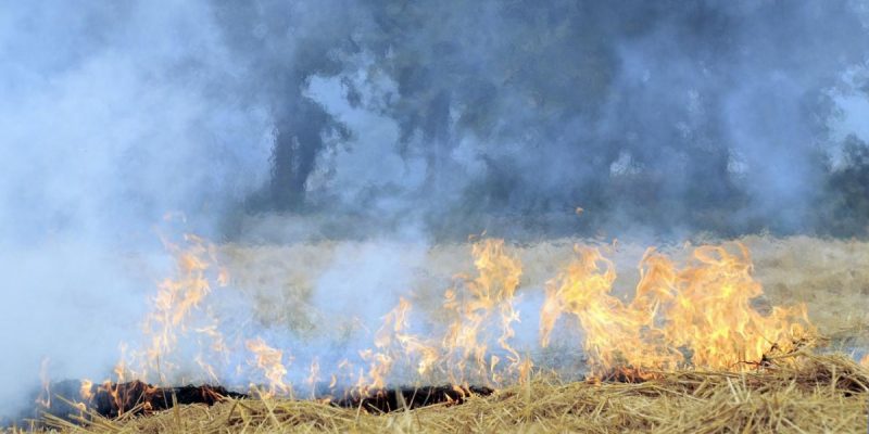 To Tackle Stubble Burning, Governments Have Repeatedly Chosen Ineffective Routes - Vimarsana News
