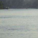 nile.ips_