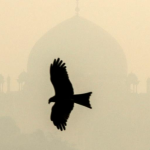 air-pollution-delhi-rt