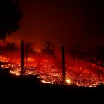 A vineyard burns overnight during a wildfire that destroyed dozens of homes in Thousand Oaks, California, U.S. November 9, 2018. Credit: REUTERS/Eric Thayer