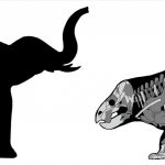 2018-11-23T035721Z_1_LYNXNPEEAM04O_RTROPTP_4_SCIENCE-CREATURE