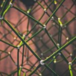 network theory, Albert-László Barabási, betweenness centrality, Google PageRank, physical networks, neurons, integrated circuits, hyphal networks, 3D printing, gel, Cauchy stress tensor, force-directed layouts, weakly interacting regime, strongly interacting regime, elasticity