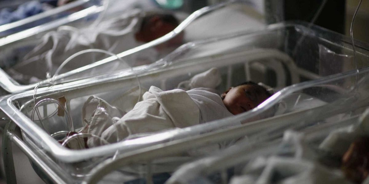 Creation of Designer Babies Is Limited by Biology, Not Technology