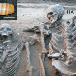 Harappan civilisation, Indus Valley civilisation, Harappa, Mohenjo Daro, Rakhigarhi, Haryana, Archaeological Survey of India, Sutlej river, Harappan necropolis, ancient burial, joint burial, archaeology, Neolithic era