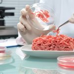 labmeat-1