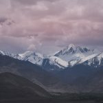 anton-van-der-weijst-570897-unsplash
