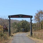 Melghat Tiger Reserve, tribal people, buffer zones, forest department, Wildlife Trust of India, National Commission for Scheduled Tribes, National Tiger Conservation Authority, Maharashtra, Satpuda Foundation, State Reserve Police Force,
