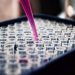 louis-reed-747388-unsplash-copy