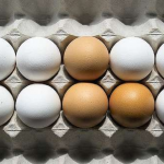 eggs_flickr_creative_commons