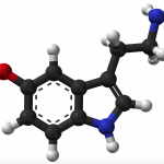 Dialister, Coprococcus, depression, anxiety, mood disorders, bioinformatics, Crohn's disease, faecal transplant, psychobiotics, antidepressants, serotonin, SSRI, autism, central nervous system, human gut, gut microbiota, gut microbes,