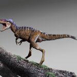 2019-02-21T205753Z_1_LYNXNPEF1K1U1_RTROPTP_4_SCIENCE-DINOSAUR