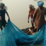 Kosi river, Kamala river, flooding, seasonal flooding, summer monsoon, Kosi floodplains, wetlands, shallow wetlands, freshwater fish, Banpar fishers, fishing, water spinach, insecticides, fishing nets, sluice gates, Darbhanga, Bihar,