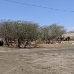 Kutch