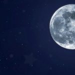 image-20170306-914-y57zll