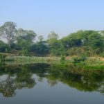 A lake in Dera Mandi forest. Credit: Pradip Krishen