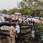 rajasthan-rains-pti-1200