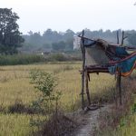 Forest Rights Act, Hasdeo Arand, Aarey forests, mangrove sanctuary, Mumbai metropolitan region, tigress Avni, land acquisition, Lalgarh tiger, revenge killings, elephants, leopards, human-wildlife conflict, forest department, Bandipur tiger reserve, Mariamma Charitable Trust,