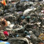 Children of rag-pickers stand amid a heap of garbage on the outskirts of New Delhi in 2006. Credit: Kamal Kishore/Reuters
