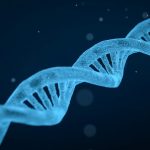 missing heritability problem, gene variants, rare diseases, genome wide association studies, whole genome sequencing, DNA sequencing, body mass index, human body height, polygenic risk score, preprint paper, peer review, genetic variation, heritability,