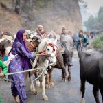 Gujjar-Bakkarwals-Tribes-found-in-AJKJK-Himachal