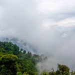 sudarshan-bhat-102013-unsplash