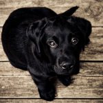 andre-spieker-238-unsplash