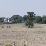 An-arid-ploughed-field-in-Vaishali