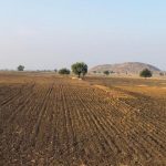 Karnataka is in the grips of an acute drought. Will the southwest monsoon save it? Photo: Nidhi Jamwal