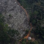2019-07-15T231125Z_1_LYNXNPEF6E1PC_RTROPTP_4_BRAZIL-ENVIRONMENT-NORWAY