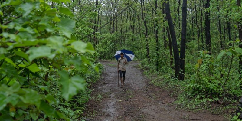 Jharkhand Forest Official Gets Notice After Moving Court for Unpaid Workers' Wages - Vimarsana News