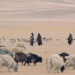 Kalak Tartar, Changthang, Tibet, Leh, Ladakh, Jammu and Kashmir, snowmelt, kiang, Tibetan wild ass, Hanle, lugrang, black yak, Indo-China war,