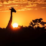 brian-mcmahon-u5EdZMmIjfs-unsplash